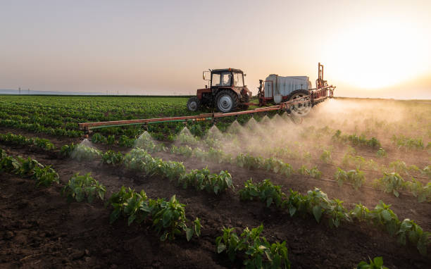 Pest Control for Restaurants in Victory Gardens, NJ