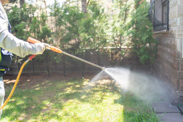 Best Exterminator Services  in Victory Gardens, NJ