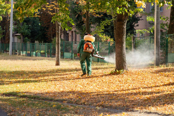 Best Pest Inspection Near Me  in Victory Gardens, NJ